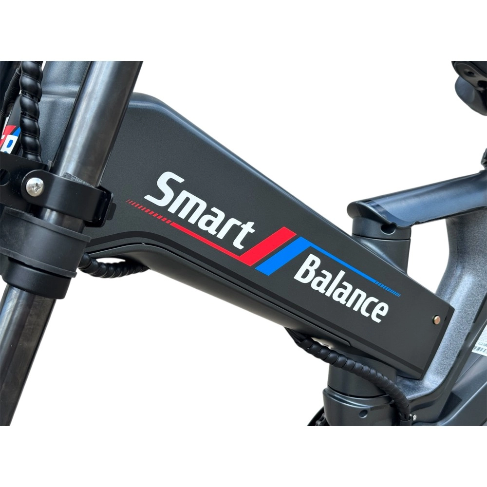 Электровелосипед SmartBalance Hunter Чёрный 14